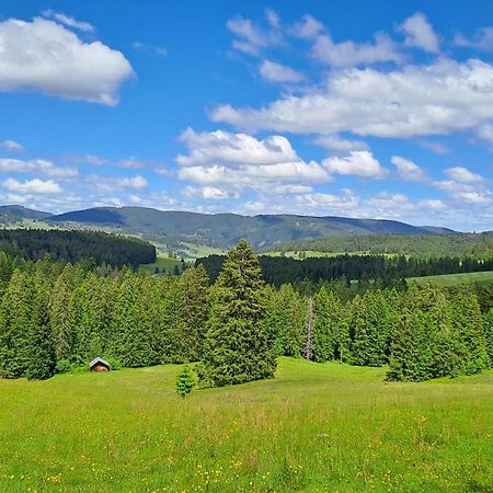 Apartmán Daheim Im Geissetal St. Blasien Exteriér fotografie