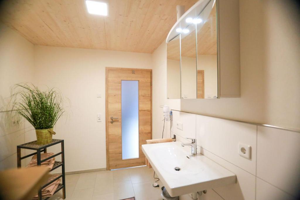 Apartmán Daheim Im Geissetal St. Blasien Exteriér fotografie