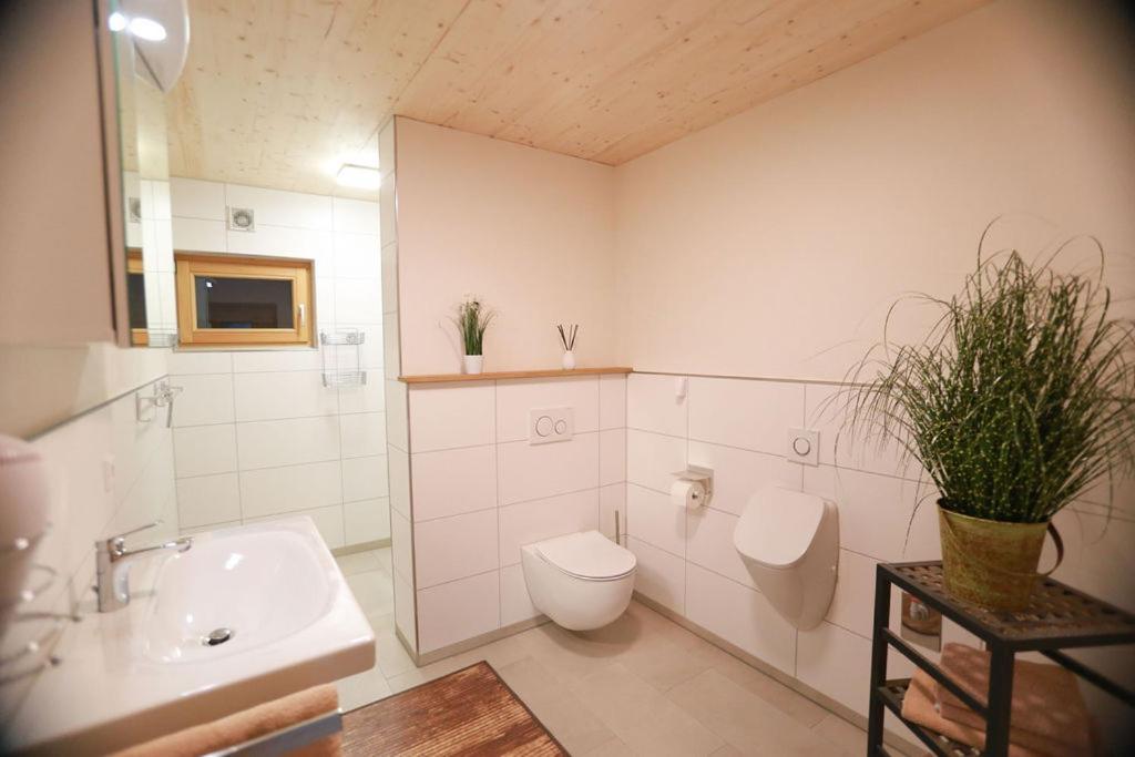 Apartmán Daheim Im Geissetal St. Blasien Exteriér fotografie