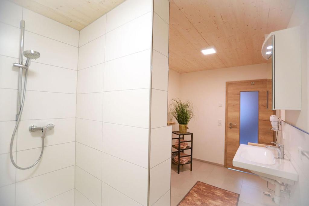 Apartmán Daheim Im Geissetal St. Blasien Exteriér fotografie