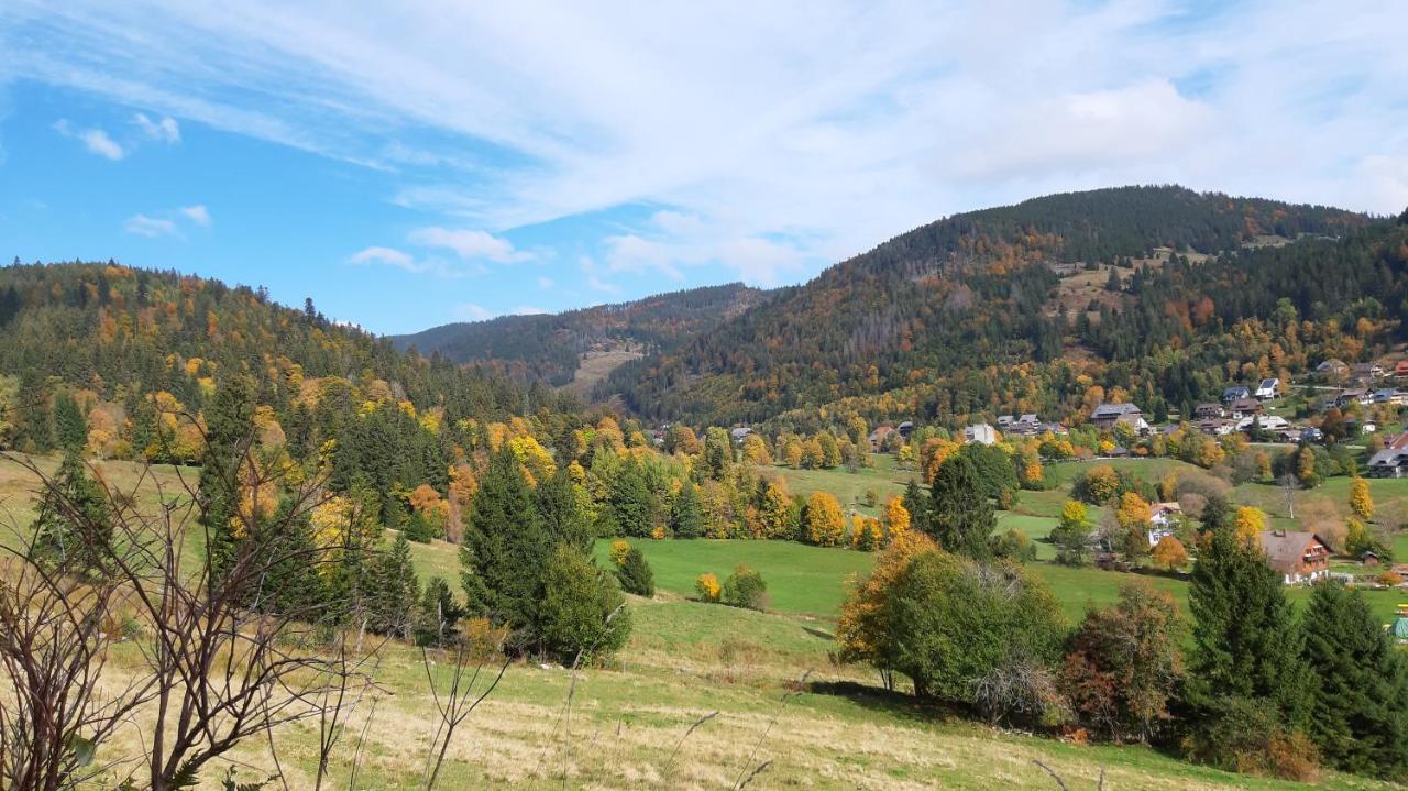 Apartmán Daheim Im Geissetal St. Blasien Exteriér fotografie