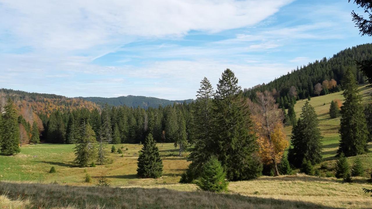 Apartmán Daheim Im Geissetal St. Blasien Exteriér fotografie