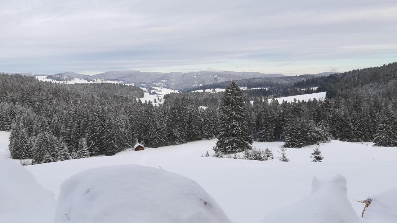 Apartmán Daheim Im Geissetal St. Blasien Exteriér fotografie